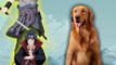 Naruto characters dogs mode