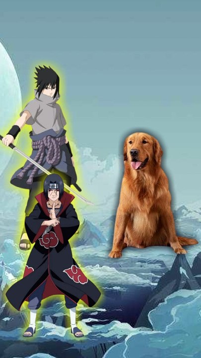 Naruto characters dogs mode