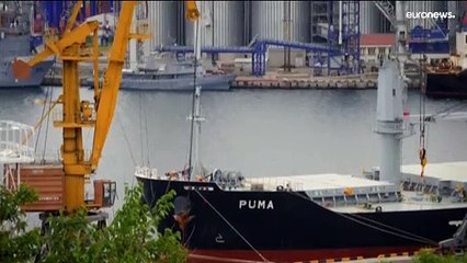 Crise du blé ukrainien : une réunion se tient ce mercredi à Istanbul