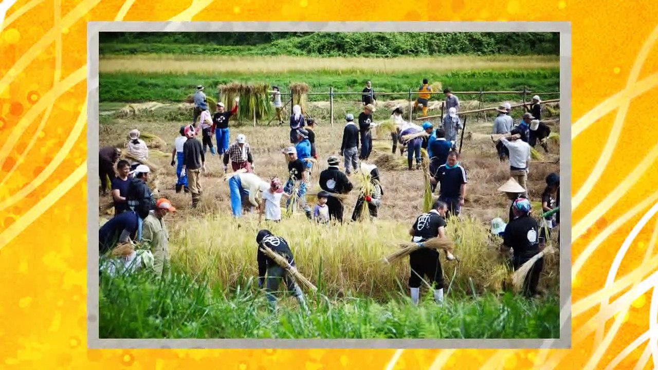 （たおやかインターネット放送)出来ることからSDGs有機米から作る酒造りSake brewing made from organic rice