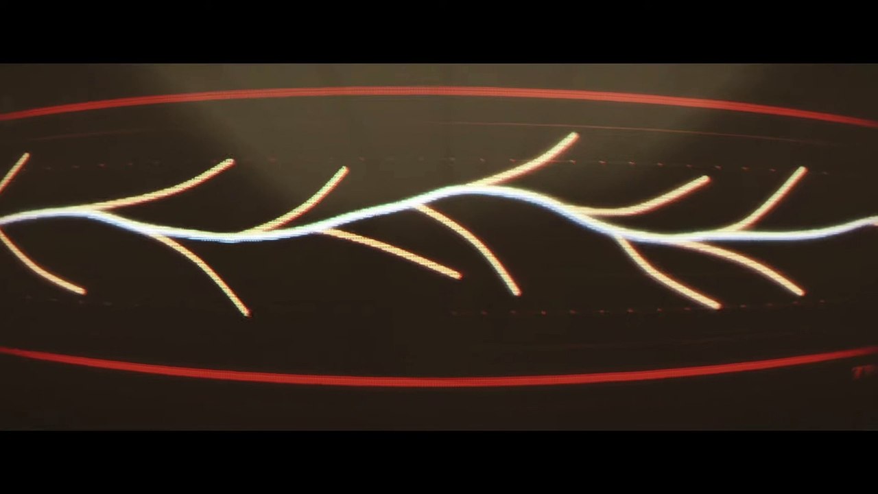 videoplayback