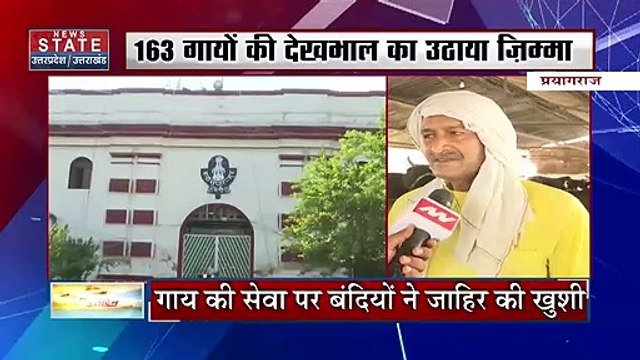 UP News: योगी 'राज' में जेल के अंदर खूंखार कैदी कर रहे गौ सेवा| CM Yogi| UP Prison | UP Police| Jail