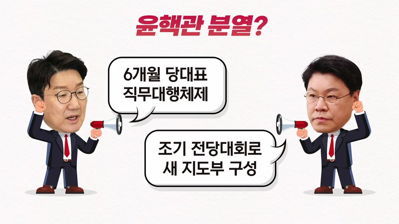 [더뉴스] 李 징계 후 윤핵관 분화?...차기 당권 윤심은 어디로 / YTN