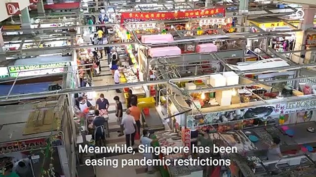 Hong Kong Vs Singapore_ Which City Is Best for Expat