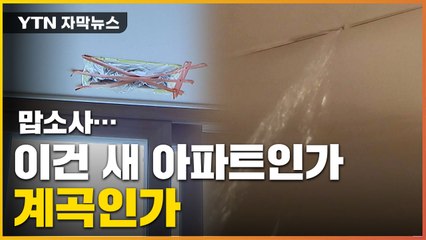 [자막뉴스] 새 아파트 천장서 '와르르'...비 오면 '공포' / YTN