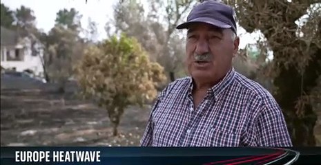 Wildfires rip through Portugal