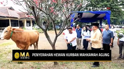 Mahkamah Agung Serahkan 15 Ekor Sapi Kurban untuk Masyarakat