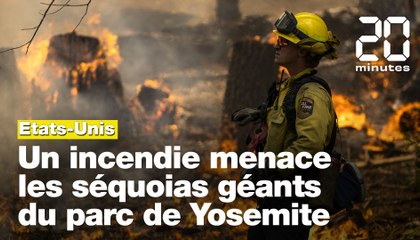 Etats-Unis: Un incendie menace les séquoias géants du parc de Yosemite