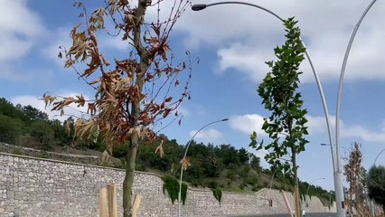 Mansur Yavaş Ankara'yı resmen kuruttu