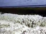 Bardha Dam: बरधा बांध पर चली 2 फीट की चादर, पिकनिक मनाने पहुंच लोग-video