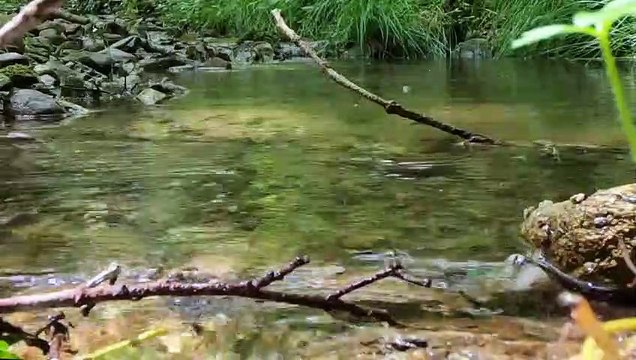 Bien-être Le bruit de l’eau qui chante - Relaxation - Détente