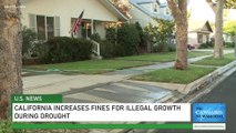 California Drought Prompts Legislation to Increase Fines for Water Pollution for Illegal Grows