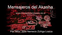 Mensajeros del akasha