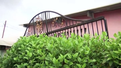 Gate Kills 16 Year Old