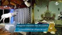 Aseguran a la Familia Michoacana mansiones con lagos artificiales, autos de lujo y animales exótico