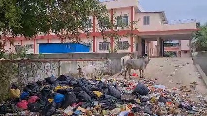 महात्मा गांधी अस्पताल परिसर में खुले में पड़ा मेडिकल बायो वेस्ट