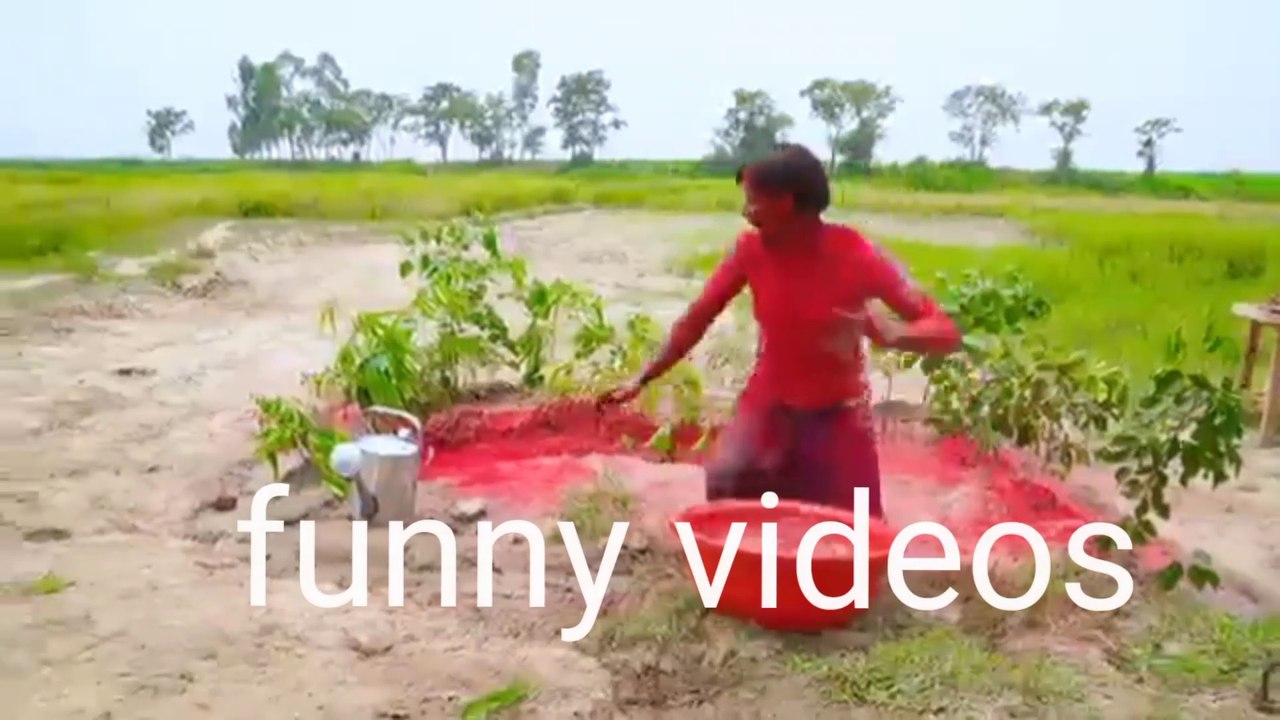 Funny videos.