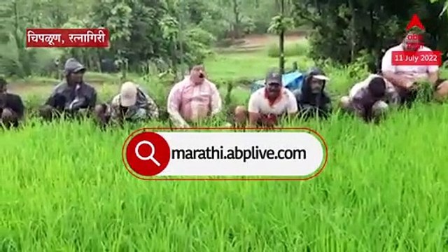 Bhaskar Jadhav Farming : भास्कर जाधव यांची गाणं गात भात लावणी