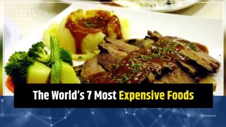 The Most Expensive Food