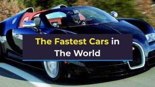 Top Fastest Car in The World