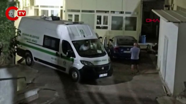 Bodrum'da tekne kazasında ünlü iş insanı Ünal Pala ve eşi yaşamını yitirdi