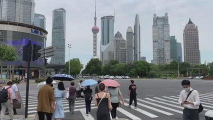 SAO PAULO - Brezilya'da "Dünya Nüfus Günü"