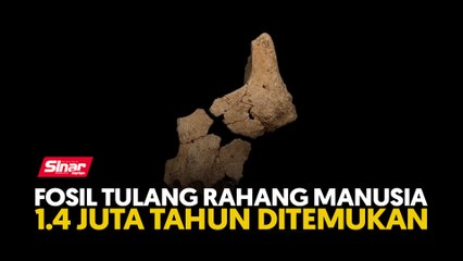 Fosil tulang rahang manusia 1.4 juta tahun ditemukan