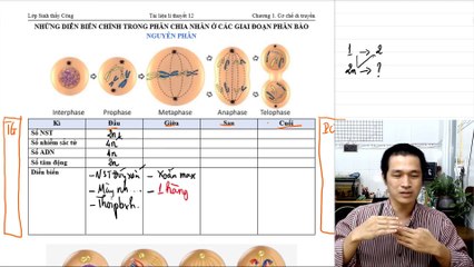 [Sinh 12] Diễn biến phân chia nhân trong Nguyên phân - Cơ chế di truyền ở cấp độ tế bào