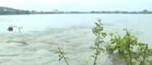 Madhya Pradesh Rains: Waterlogging in many areas of Bhopal after heavy rainfall | ABP News