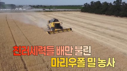 [세상만사] 우크라이나 농부가 재배한 밀 수확하는 친러 세력 / YTN