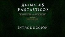 Animales fantásticos y dónde encontrarlos (01: Introducción) - Audiolibro en Castellano