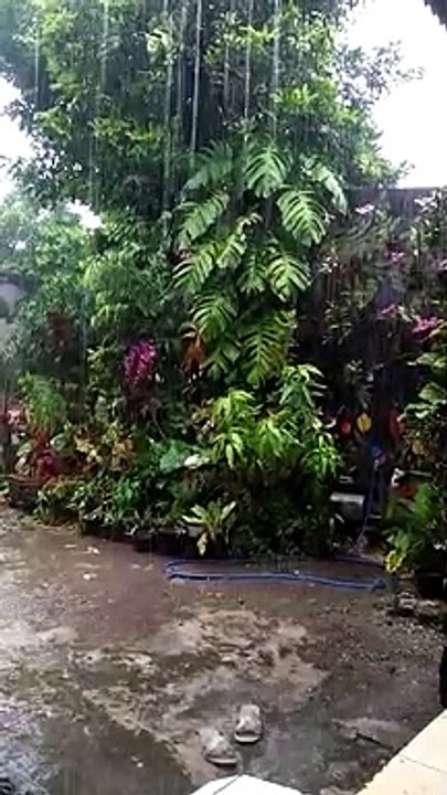 Relaxing rainy day