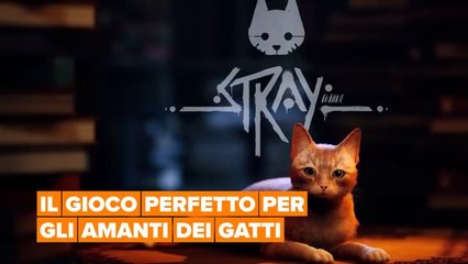 Nei panni di un gatto in 'Stray'