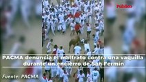 Vídeo| PACMA denuncia el maltrato contra una vaquilla durante un encierro de San Fermín