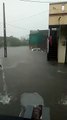 Gujarat Monsoon News पंचमहाल जिले में मूसलाधार बारिश, निचले क्षेत्रों में भरा पानी