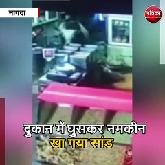 नागदा : दुकान में घुसकर नमकीन खा गया सांड