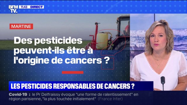 Les pesticides peuvent-ils être à l'origine de cancers ? BFMTV répond à vos questions