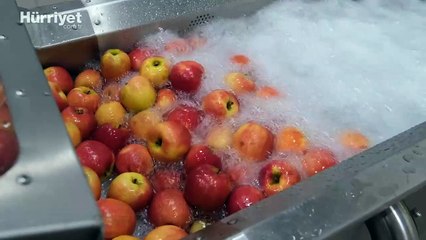 Gıda sektörüne teknolojik alt yapı