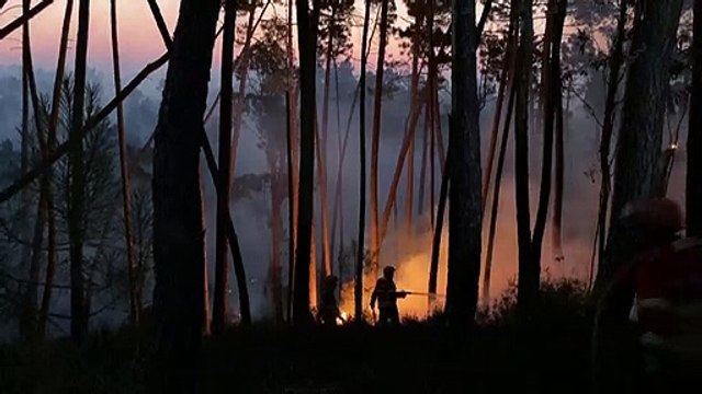 البرتغال تكافح حرائق غابات في خضم موجة حر تضرب البلاد
