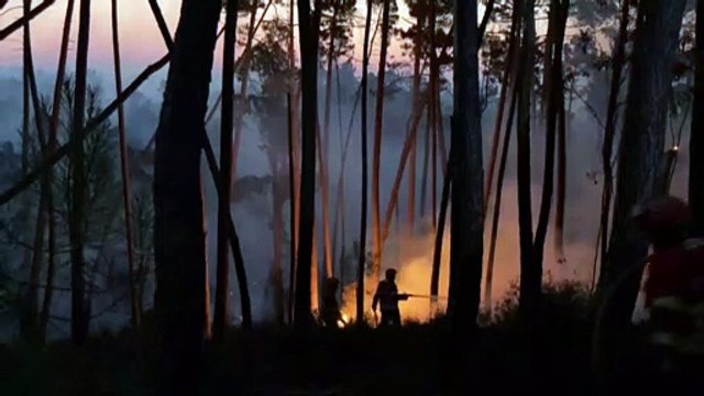 البرتغال تكافح حرائق غابات في خضم موجة حر تضرب البلاد