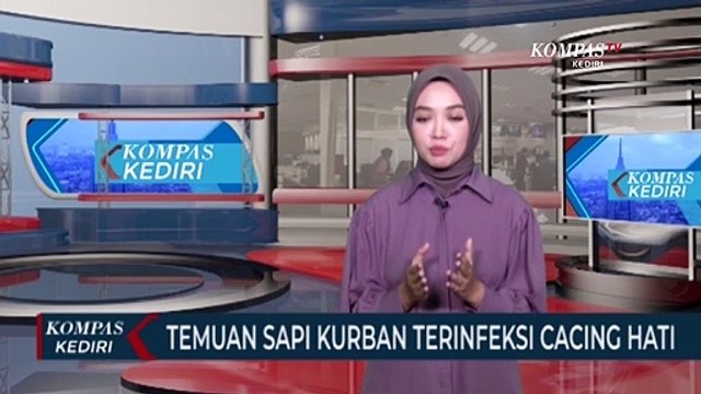 Dinas Peternakan Temukan Cacing Hati di Hewan Kurban