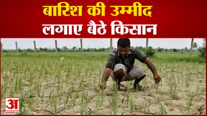 Bihar: बारिश के आस लगाए बैठे किसान, Bihar के कुछ इलाकों में सूखे के हालात