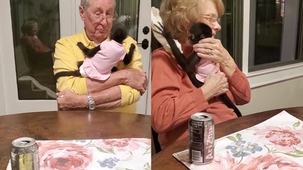 'Little monkey becomes super friendly with her human grandparents on their first meeting'