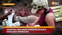 Argentina: descubren fósiles de un nuevo dinosaurio depredador