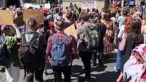 Women take to the streets of Newcastle to protest abortion rights