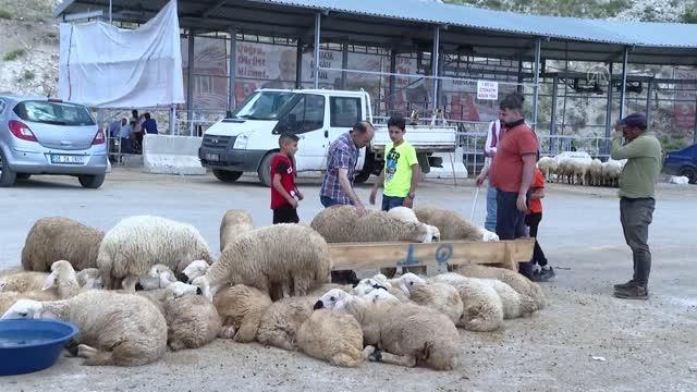 Kurban Bayramı'nın üçüncü gününde de kurbanlık alışveriş sürdü
