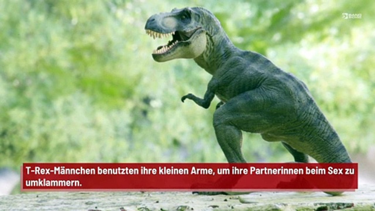 Männliche T-Rexe benutzten winzige Arme, um ihre Gefährtinnen beim Sex zu greifen