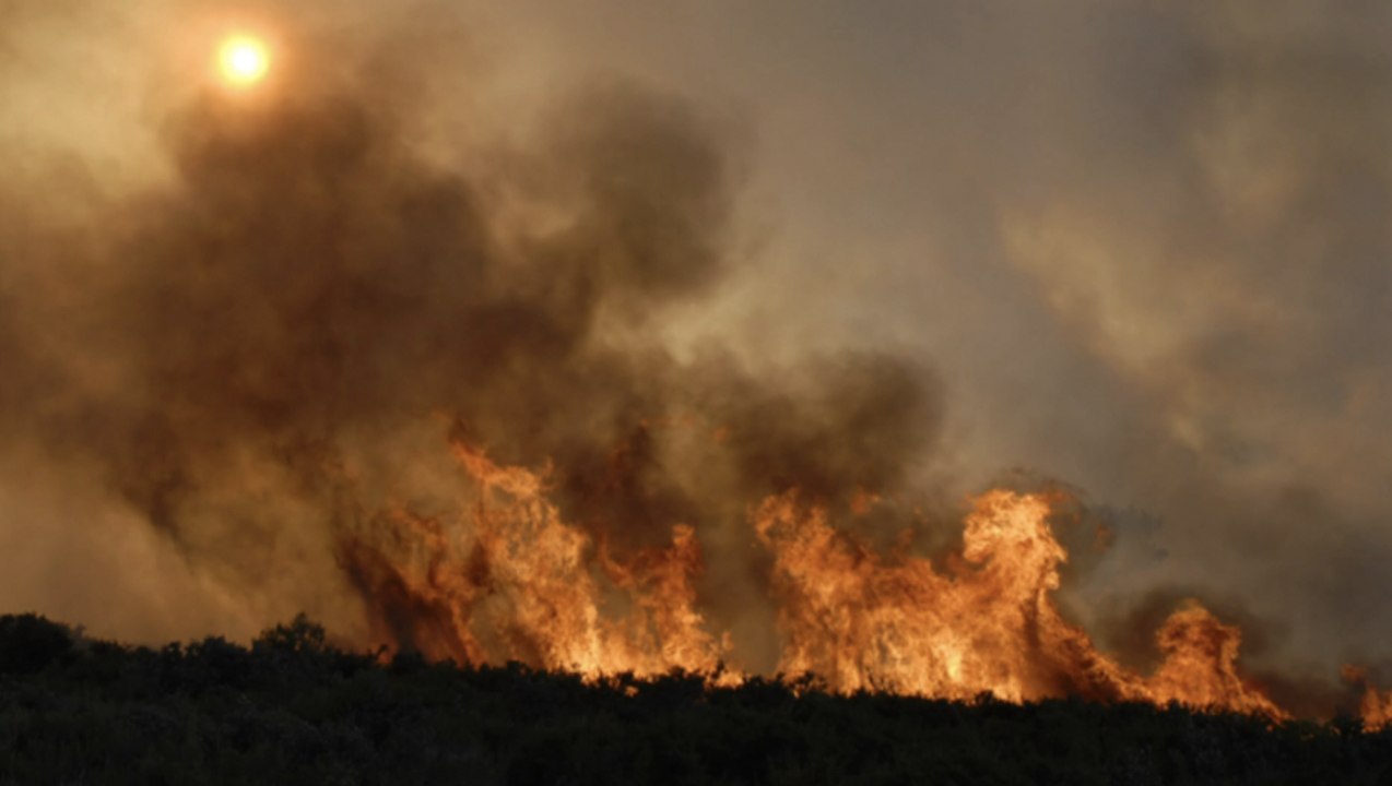 Alarmstufe Rot in Portugal: 36 Waldbrände zerstören das Land