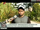 Miranda | Habitantes de la Comuna Territorio Repano impulsan proyectos socioproductivos