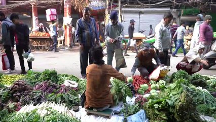 ONU: população mundial alcançará 8 bilhões em novembro